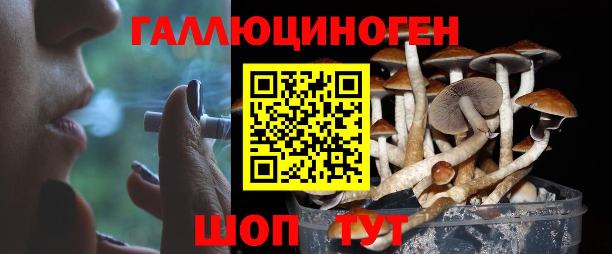 Галлюциногенные грибы Psilocybine cubensis Вязьма